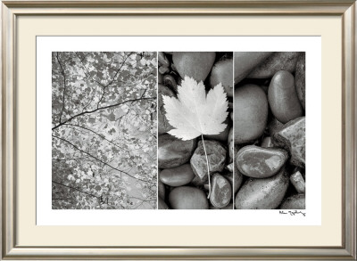 Buy Nature Trio at AllPosters.com