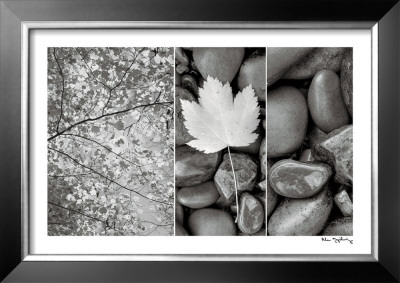 Buy Nature Trio at AllPosters.com