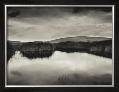 Buy Pond and Montezuma Hills, Sacramento-San Joaquin River Delta, 2000 at AllPosters.com