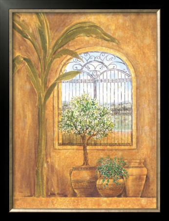 Window in the Tropics I Framed Art Print