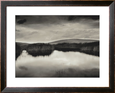 Buy Pond and Montezuma Hills, Sacramento-San Joaquin River Delta, 2000 at AllPosters.com