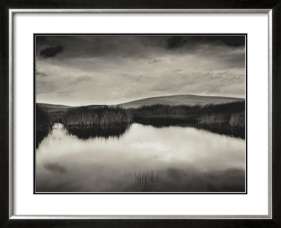 Pond and Montezuma Hills, Sacramento-San Joaquin River Delta, 2000
