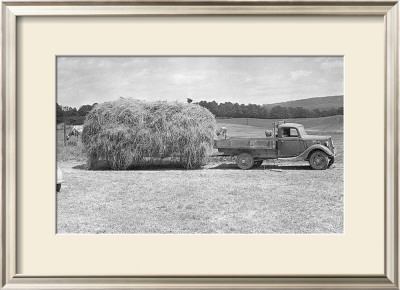 American Hay Farmer