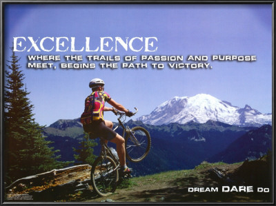 Excellence