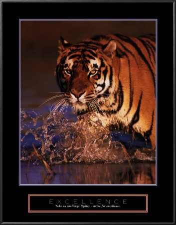 Excellence: Bengal Tiger