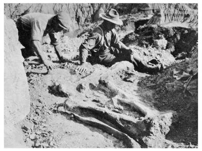 Two Paleontologists Unearth a Dinosaur in Canada