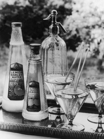 Summer Fruit Drinks
