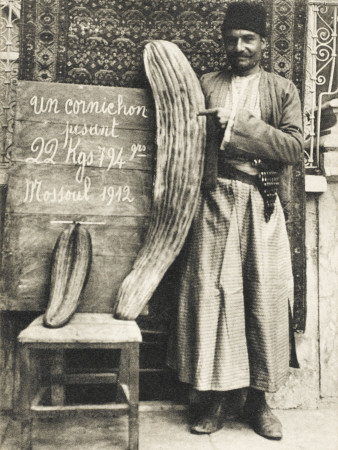 Mosul, Iraq - Iraqi Man with His Giant Cornichon