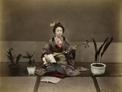 Japanese Lady in Traditional Dress with a Stringed Musical Instrument