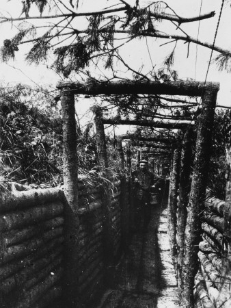 Camouflaged Communication Trench Near Hill 60 in the Ypres Sector During World War I