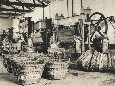 Moet Et Chandon Factory - the Press