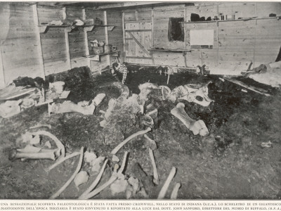 Mastodon Remains in Indiana