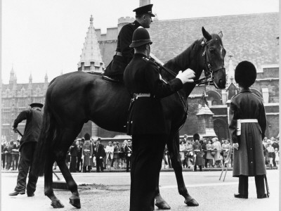 Metropolitan Police Officer Talks to Mounted Police Officer on a Police Horse