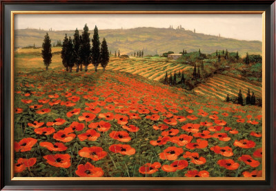 Hills of Tuscany I