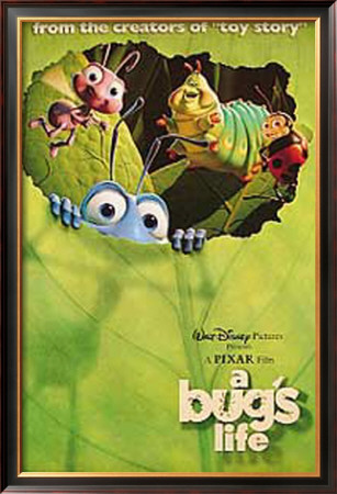 A Bug
