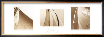 Buy Sail Away Trilogy at AllPosters.com