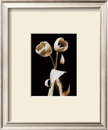 Buy Black and White VI at AllPosters.com