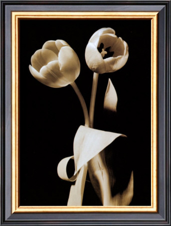 Buy Black and White VI at AllPosters.com