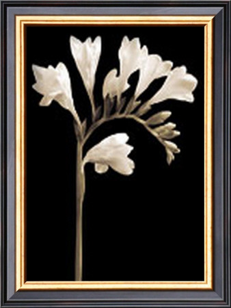 Buy Black and White V at AllPosters.com