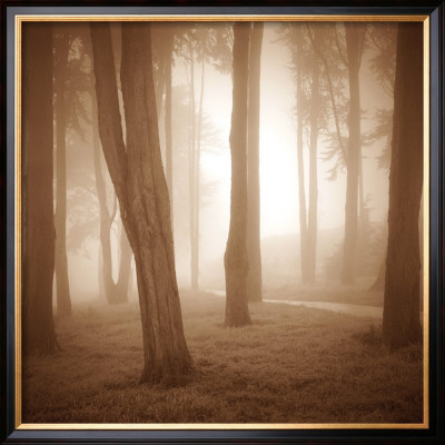 Buy Woods Study II at AllPosters.com