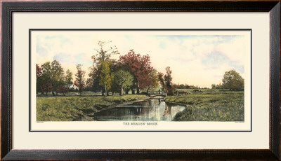 The Meadow Brook