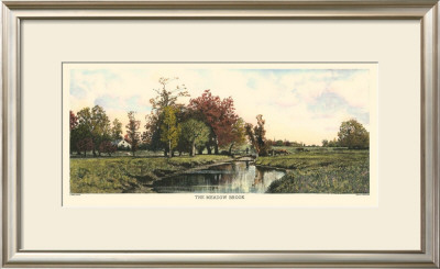 The Meadow Brook