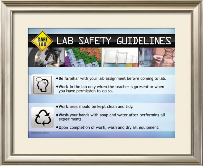 Guidelines