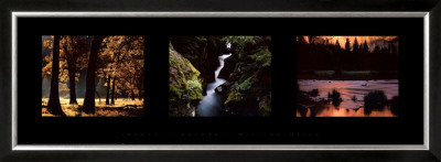 Buy Images from Nature II at AllPosters.com