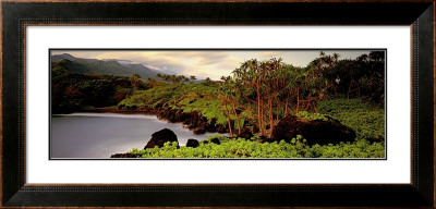 Buy Haleakala Rim at AllPosters.com