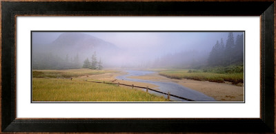 Buy Tidal Mist at AllPosters.com