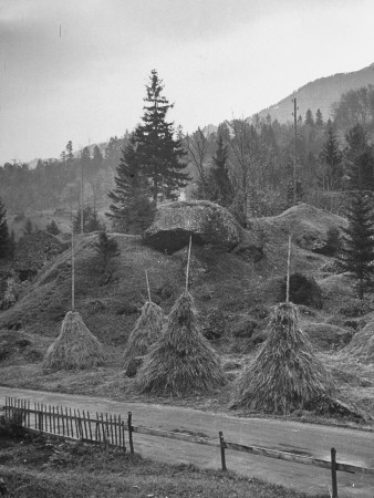Pituresque Looking Hay Mounds on the Side of a Rocky Hill