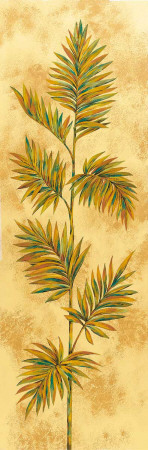 Amazzonia I