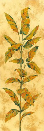 Amazzonia II Art Print