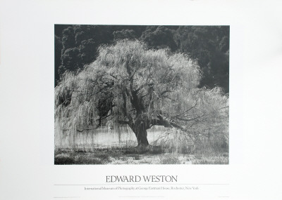 Buy Willow Tree at AllPosters.com