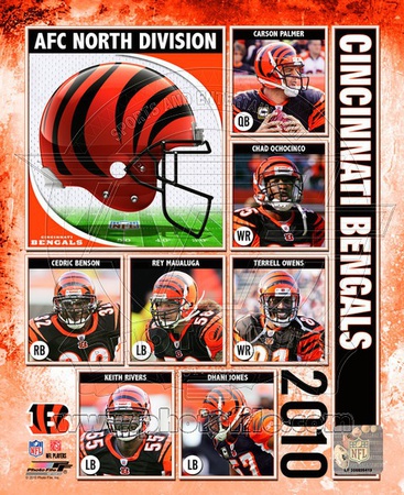 2010 Cincinnati Bengals Team Composite