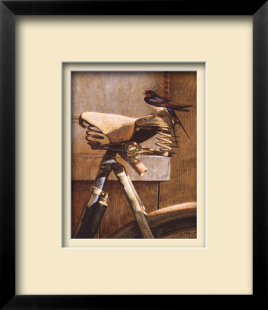 Swallow On Bicycle