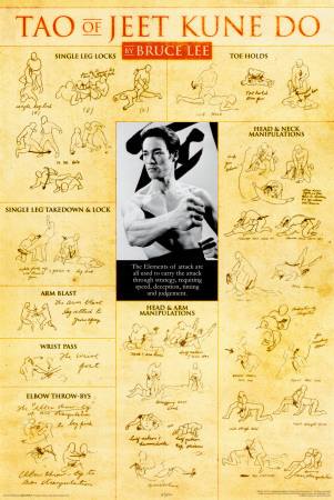 Bruce Lee Teachings