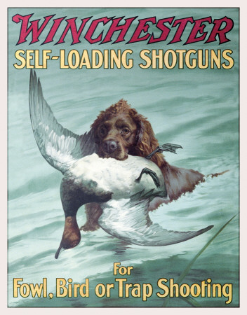 Buy WIN- Foul & Trap Shooting at AllPosters.com