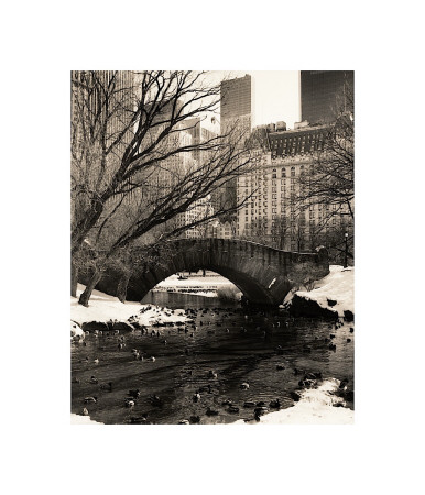 Buy Central Park Bridges IV at AllPosters.com