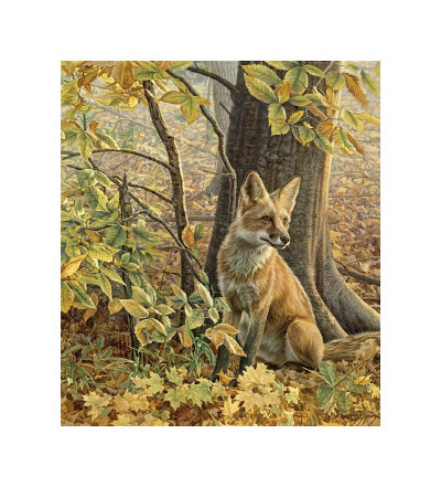 Eyes of Autumn