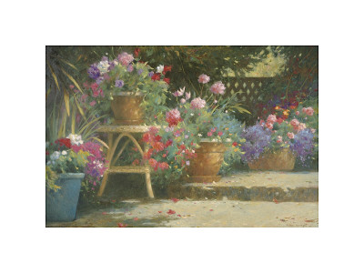 Potted Flowers