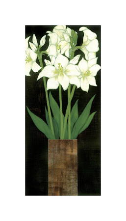 Perfect White Lilies