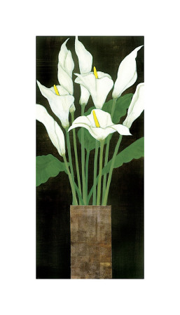 Ivory Calla Lilies