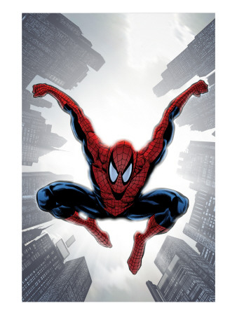 The Amazing Spider-Man #552 Cover: Spider-Man
