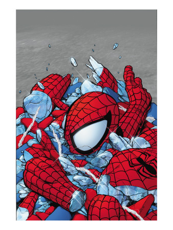 Amazing Spider-Man #565 Cover: Spider-Man