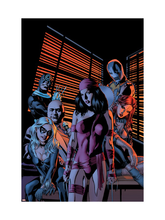 House Of M: Avengers #4 Cover: Elektra and Black Cat