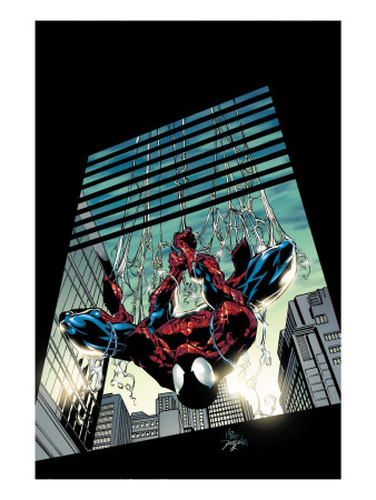 Amazing Spider-Man #514 Cover: Spider-Man