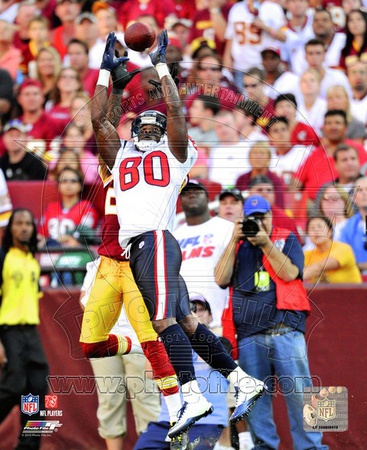 Andre Johnson 2010 Action