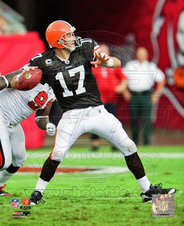 Jake Delhomme 2010 Action