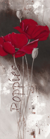 I Love Poppies